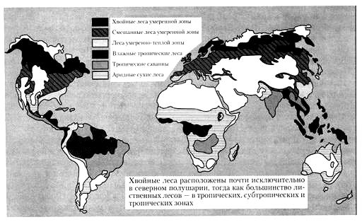 Места расположения лесных зон