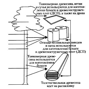 Использование древесины