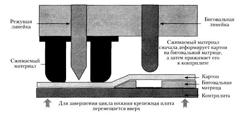 Стадия 1 вырубки и биговки