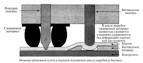 Стадия 2 вырубки и биговки