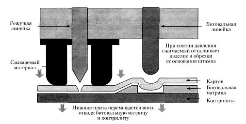 Стадия 3 вырубки и биговки