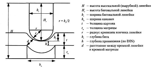 Важнейшие размеры для бигования